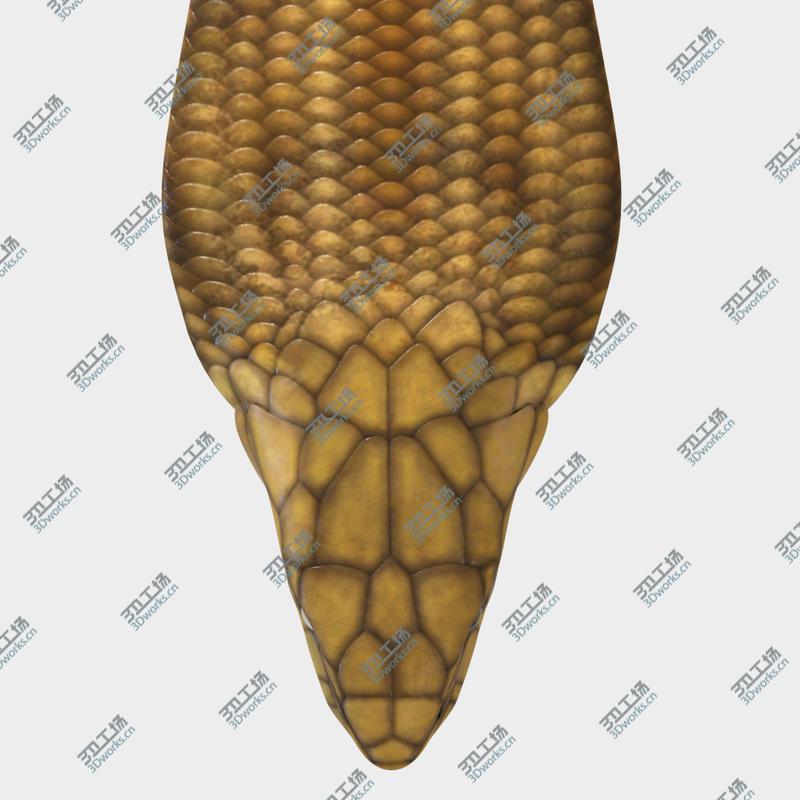 images/goods_img/202104092/King Cobra/5.jpg